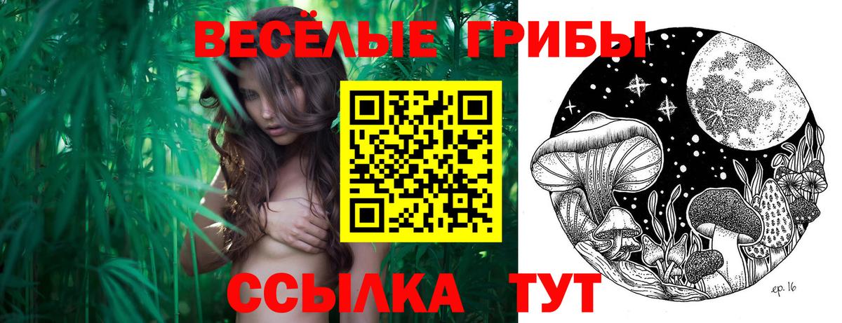 Галлюциногенные грибы Magic Shrooms  Вход с VPN  Мыски 